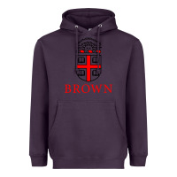 Plum brown university Heavyweight Hoodie - ArtChic
