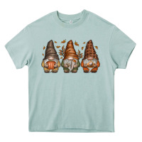 Arona fall gnomes Heavy Core Tee - SublimationCraftShop