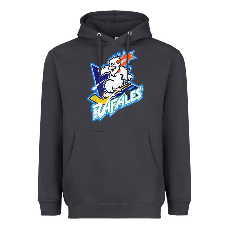 Quebec Rafales Heavyweight Hoodie by PixelFlow | Teevron