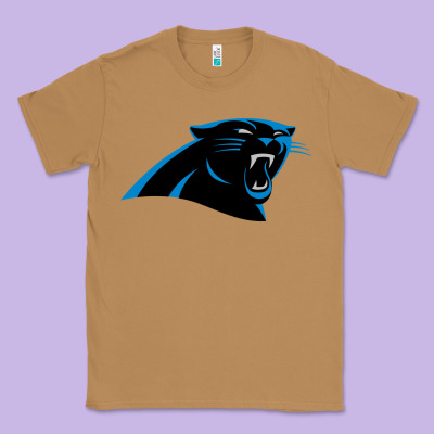 Thesportcarolinapantherslogo Classic Tee Designed By Floraart