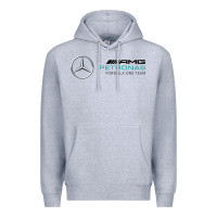 Heather Grey formula one team Premium Hoodie - FloraArt