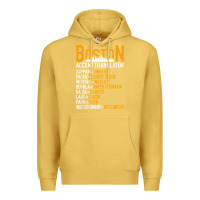 Antique Gold wicked smaht boston accent translator bostonians gifts shirt Premium Hoodie - FloraArt
