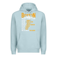 Blue Mist wicked smaht boston accent translator bostonians gifts shirt Premium Hoodie - FloraArt
