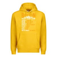 Lemon wicked smaht boston accent translator bostonians gifts shirt Premium Hoodie - FloraArt