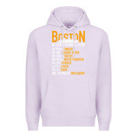 Lilac wicked smaht boston accent translator bostonians gifts shirt Premium Hoodie - FloraArt
