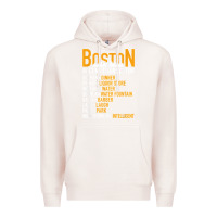 Pale Pink wicked smaht boston accent translator bostonians gifts shirt Premium Hoodie - FloraArt
