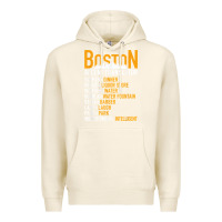 Tofu wicked smaht boston accent translator bostonians gifts shirt Premium Hoodie - FloraArt