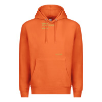 Carrot The Matrix Everything Has A Beginning Green Font Premium Hoodie - ArtMosaic