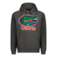 Charcoal Heather florida gators Premium Hoodie - ArtMosaic