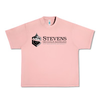 Salmon stevens institute of technology Urban Heavy Tee - SnappyArt