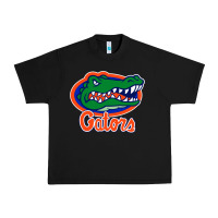 Black florida gators Urban Heavy Tee - ArtMosaic