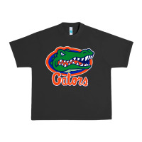Pigment Black florida gators Urban Heavy Tee - ArtMosaic