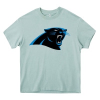 Arona thesportcarolinapantherslogo Heavy Core Tee - FloraArt