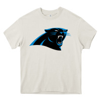 Thesportcarolinapantherslogo Heavy Core Tee | Teevron