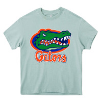 Arona florida gators Heavy Core Tee - ArtMosaic