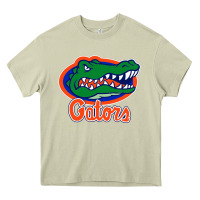 Florida Gators Heavy Core Tee | Teevron