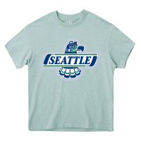 Arona seattle thunderbirds, Heavy Core Tee - ArtMosaic