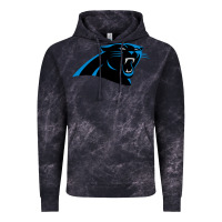 Cloud Black thesportcarolinapantherslogo Vintage Hoodie - FloraArt