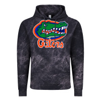 Cloud Black florida gators Vintage Hoodie - ArtMosaic