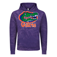 Cloud Purple florida gators Vintage Hoodie - ArtMosaic