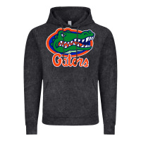 Florida Gators Vintage Hoodie | Teevron
