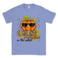 Colony Blue Coolest Pumpkin In The Patch Classic Tee - texasbilliewilder