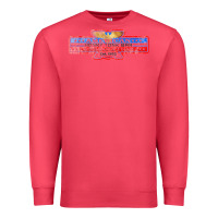 Cardinal the american honky tonk bar association, distressed   garth brooks Premium Sweatshirt - FloraArt