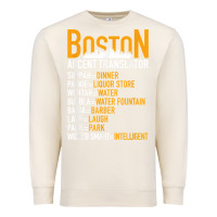 Sandshell wicked smaht boston accent translator bostonians gifts shirt Premium Sweatshirt - FloraArt