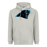 Moon Dust thesportcarolinapantherslogo Heavyweight Hoodie - FloraArt