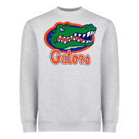 Heather Grey florida gators Heavyweight Sweatshirt - ArtMosaic