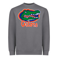 Storm florida gators Heavyweight Sweatshirt - ArtMosaic