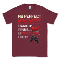 Burgundy 14 Year Old Gamer Gift Boy Teen 14th Perfect Birthday Gaming Classic Tee - trangStudio