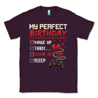 Plum 14 Year Old Gamer Gift Boy Teen 14th Perfect Birthday Gaming Classic Tee - trangStudio