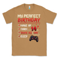 Toasted Coconut 14 Year Old Gamer Gift Boy Teen 14th Perfect Birthday Gaming Classic Tee - trangStudio
