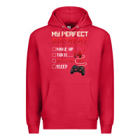 Cardinal 14 Year Old Gamer Gift Boy Teen 14th Perfect Birthday Gaming Premium Hoodie - trangStudio
