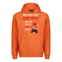 Carrot 14 Year Old Gamer Gift Boy Teen 14th Perfect Birthday Gaming Premium Hoodie - trangStudio
