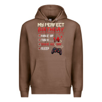 Chestnut 14 Year Old Gamer Gift Boy Teen 14th Perfect Birthday Gaming Premium Hoodie - trangStudio