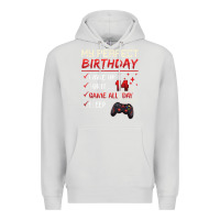 Dove Grey 14 Year Old Gamer Gift Boy Teen 14th Perfect Birthday Gaming Premium Hoodie - trangStudio