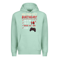 Seafoam 14 Year Old Gamer Gift Boy Teen 14th Perfect Birthday Gaming Premium Hoodie - trangStudio