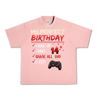 Salmon 14 Year Old Gamer Gift Boy Teen 14th Perfect Birthday Gaming Urban Heavy Tee - trangStudio