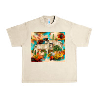 Sandshell fall charolais bulls Urban Heavy Tee - RanaPortraitStore
