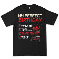 14 Year Old Gamer Gift Boy Teen 14th Perfect Birthday Gaming Premium Tee | Teevron