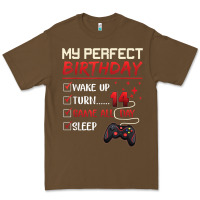 Cacao 14 Year Old Gamer Gift Boy Teen 14th Perfect Birthday Gaming Premium Tee - trangStudio