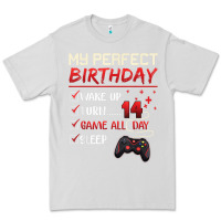 Dove Grey 14 Year Old Gamer Gift Boy Teen 14th Perfect Birthday Gaming Premium Tee - trangStudio