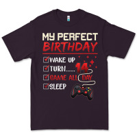 Plum 14 Year Old Gamer Gift Boy Teen 14th Perfect Birthday Gaming Premium Tee - trangStudio