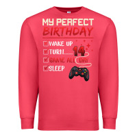 Cardinal 14 Year Old Gamer Gift Boy Teen 14th Perfect Birthday Gaming Premium Sweatshirt - trangStudio