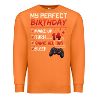 Carrot 14 Year Old Gamer Gift Boy Teen 14th Perfect Birthday Gaming Premium Sweatshirt - trangStudio