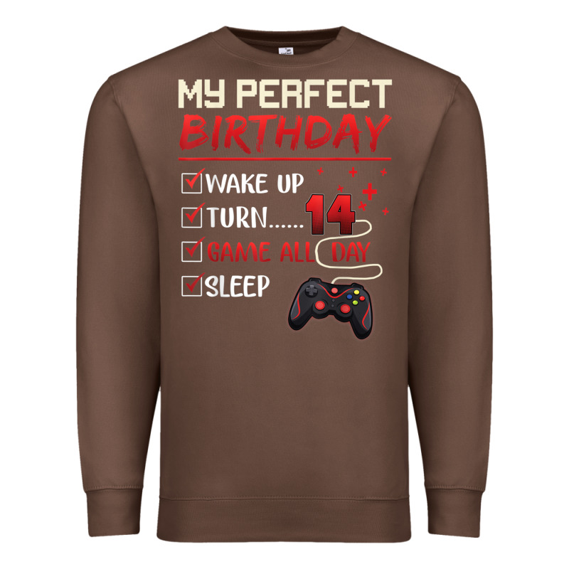 14 Year Old Gamer Gift Boy Teen 14th Perfect Birthday Gaming Premium Sweatshirt by trangStudio | Teevron