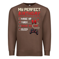Chestnut 14 Year Old Gamer Gift Boy Teen 14th Perfect Birthday Gaming Premium Sweatshirt - trangStudio