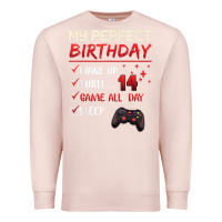Pale Pink 14 Year Old Gamer Gift Boy Teen 14th Perfect Birthday Gaming Premium Sweatshirt - trangStudio